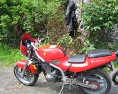 Rote Skorpion