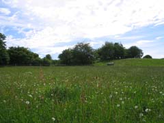 Landscahaft