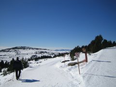 Auf Piste