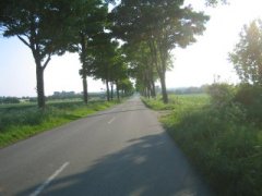 Landstraße, elendige